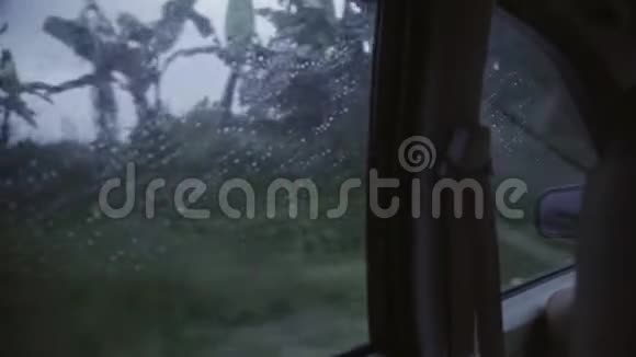 在多雨的刮风天从汽车后窗可以看到热带树木的骑行视频的预览图