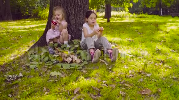 两个女孩坐在公园里吃石榴石视频的预览图