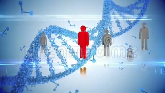 性别图标和DNA视频的预览图