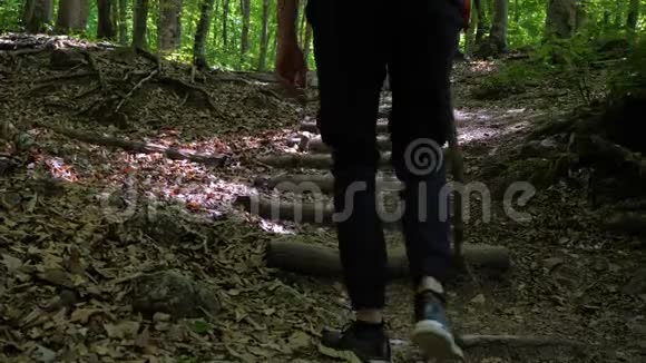 一群手里拿着木棍的游客沿着一条徒步小径在树林里散步视频的预览图