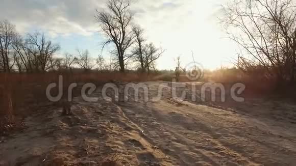 一个骑自行车的人骑着一辆山地车在一条土路上在寒冷的天气日落时在田野里的乡村道路上纪律交叉视频的预览图