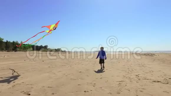 小男孩带着风筝在海滩上散步视频的预览图
