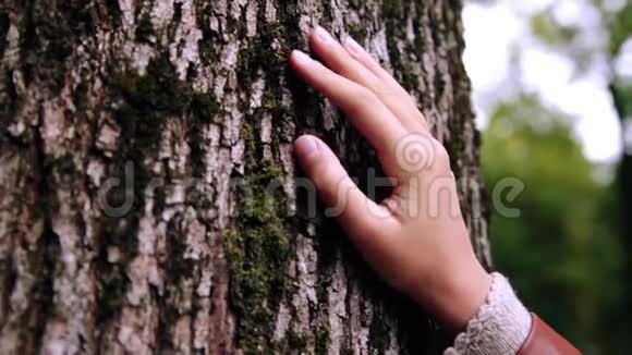 的手触摸树的树皮视频的预览图