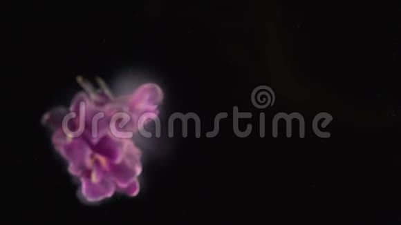 紫兰花在液氮中冷冻并被许多微粒破坏视频的预览图