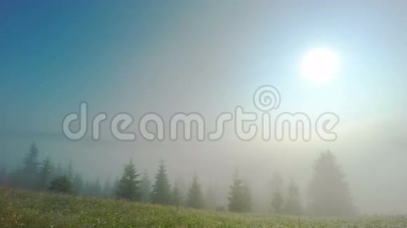 早晨蒙坦的薄雾视频的预览图