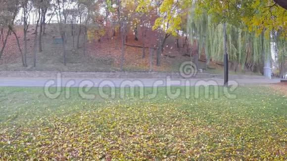 树叶从城市公园的树上掉下来戈梅尔白俄罗斯视频的预览图