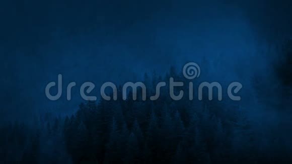 夜色中的薄雾笼罩着野生森林视频的预览图
