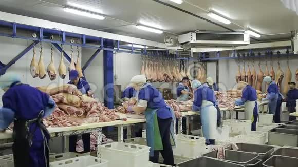 肉类工厂的工作人员正在准备新鲜肉类以便送到商店和香肠店视频的预览图