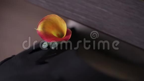 红花束和小红苹果视频的预览图