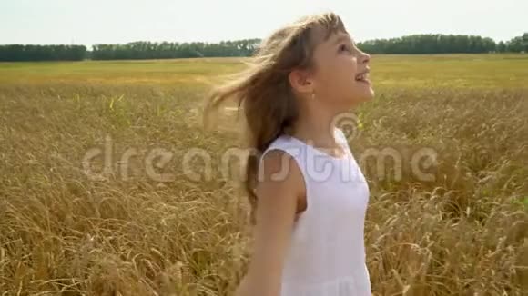 这位美丽的女孩喜欢俄罗斯田野的空地女孩走过成熟的麦子微笑着视频的预览图