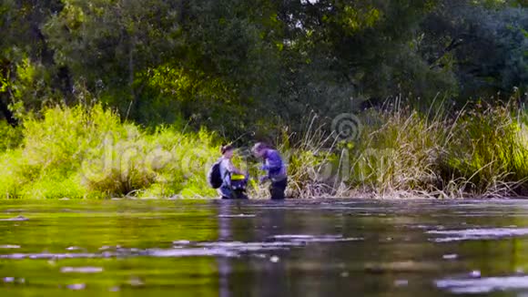 两位科学家穿着高橡胶靴站在森林河的水中视频的预览图