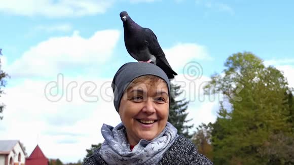 一个快乐的女人头上戴着一只灰色的鸽子视频的预览图