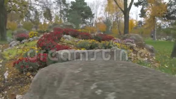公园花卉和石头的景观视频的预览图
