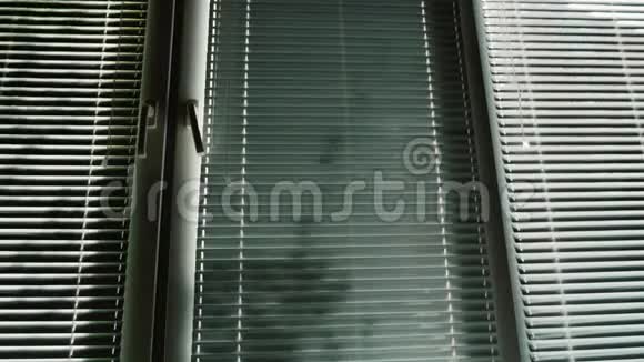 一个女人来到窗户打开百叶窗的剪影视频的预览图