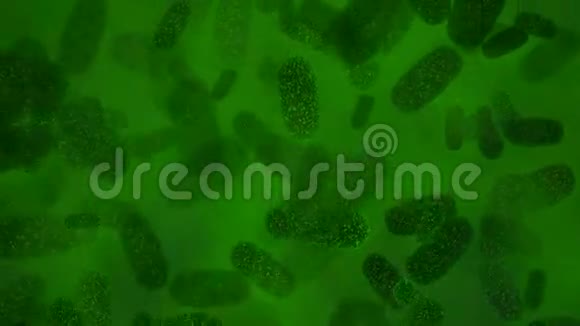 绿色细菌视频的预览图