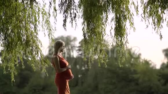 儿子跑过去拥抱她怀孕的母亲温暖的阳光穿透了树视频的预览图