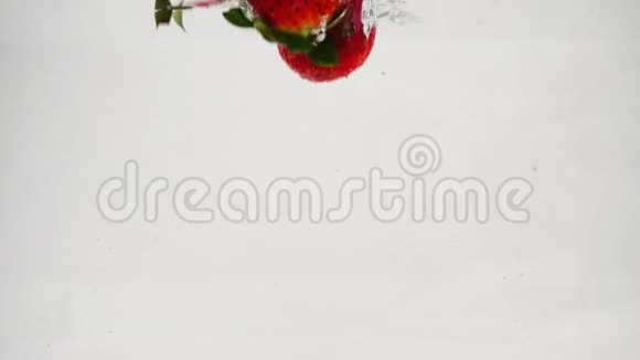 红色的草莓漂浮在水中慢动作录像视频的预览图