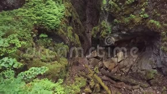 令人惊叹的风景如画的深谷和岩石碎片和树木覆盖的苔藓在森林附近的高老视频的预览图