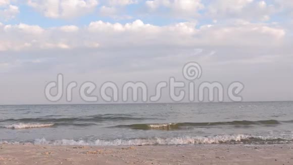 海鸥坐在海浪上视频的预览图