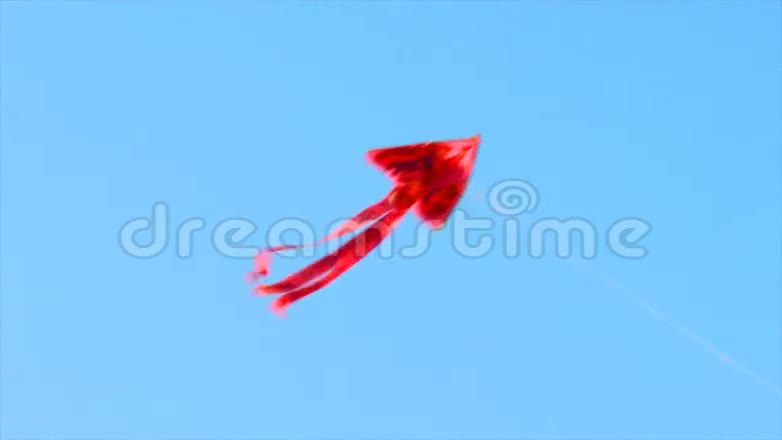 空中的风筝视频的预览图