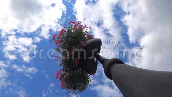 花花坛灯笼天空云彩视频的预览图