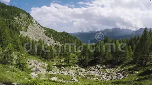 一边走在小径上看着野生的森林山谷徒步旅行或徒步旅行在户外绿色自然森林中的冒险视频的预览图