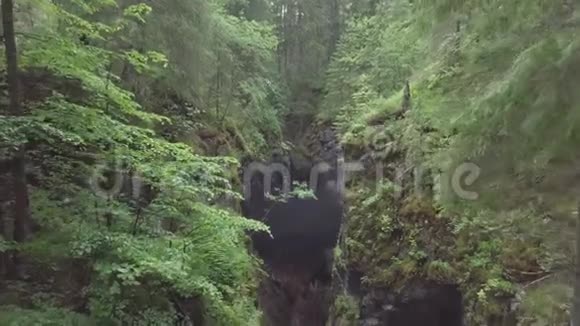 令人惊叹的风景如画的深谷和岩石碎片和树木覆盖的苔藓在森林附近的高老视频的预览图