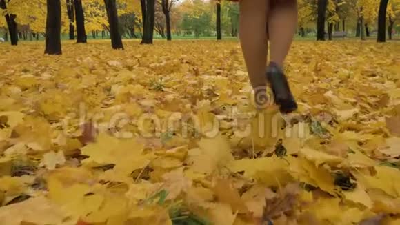年轻苗条的漂亮女人的腿在跑秋天公园的枫叶视频的预览图