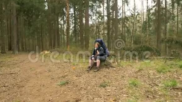 一个美丽的女孩坐在树桩上在一个夏天的森林飞行相机拍摄视频的预览图