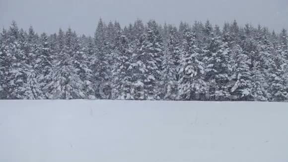孤独的人雪花中的雪花视频的预览图