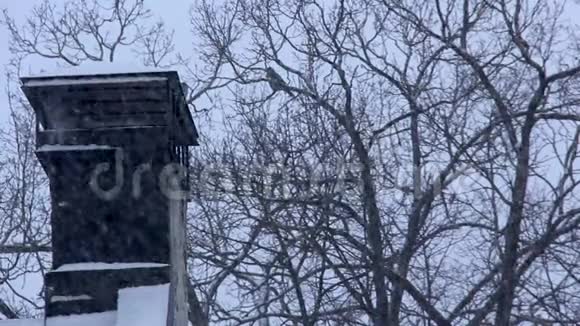 冬天的烟囱在雪中冒烟视频的预览图