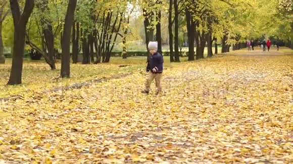 快乐的小男孩在秋天的公园里跑步视频的预览图