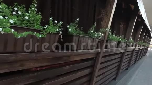 盆栽的绿色植物外观设计咖啡馆视频的预览图