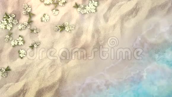 沙滩上有蓝色海浪和鲜花夏季背景视频的预览图