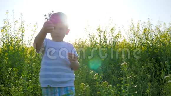 美丽的孩子在阳光明媚的日子里沿着田野散步快乐的小男孩在背景田野的花朵上玩大自然视频的预览图