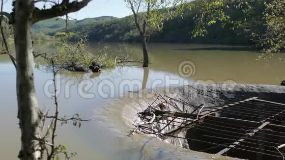 湖泊中的旧排水系统视频的预览图