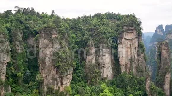 张家界森林公园的神奇山脉与石柱岩形成视频的预览图