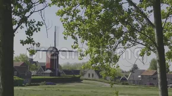 荷兰磨坊荷兰泽兰视频的预览图