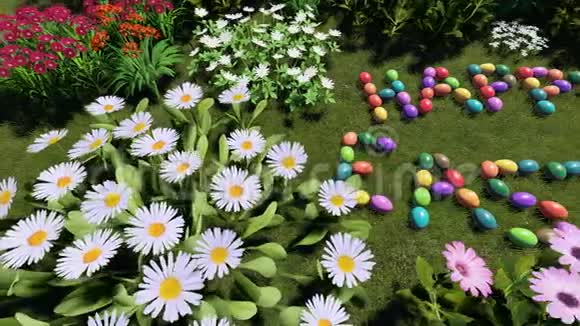 复活节彩蛋躲在草丛里视频的预览图