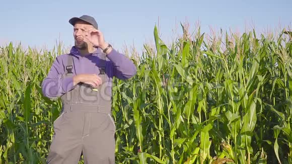 玉米地里的农民画像农夫在玉米地里闭上脸视频的预览图