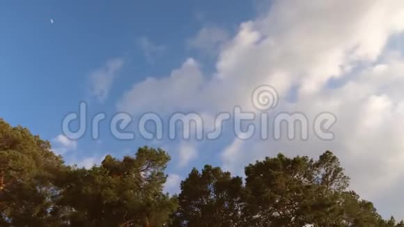 云彩在森林上空快速地飞过天空视频的预览图