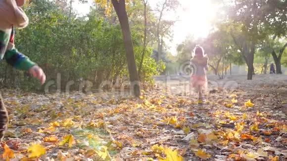 小女孩和小男孩在秋公园温暖的一天和她的狗在背光下慢跑视频的预览图