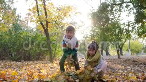 可爱的孩子们把黄色的叶子扔到空中在秋天的公园里享受大自然的背光视频的预览图