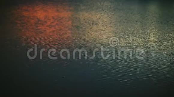 涟漪水面反射日落时的阳光视频的预览图