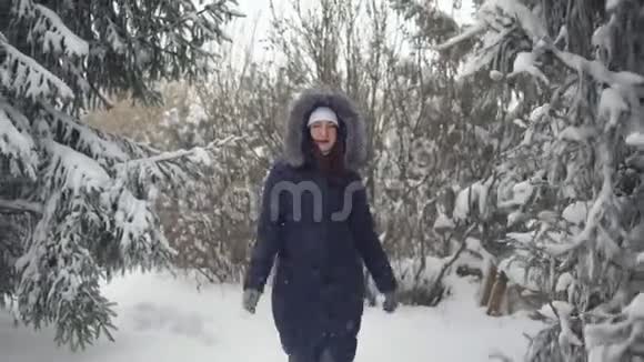 布鲁内特女士在冬天的森林里沿着小径散步视频的预览图