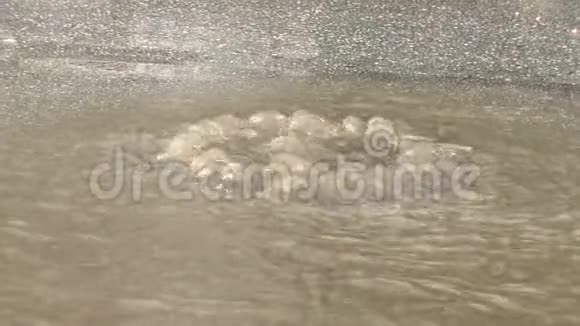 大雨中的水缓慢地从沙井流出视频的预览图