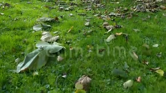 秋天的乡村花园无人机飞在草地之上视频的预览图