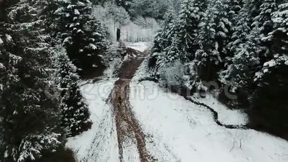 空中射击一个背着背包在山中央的森林里跑来跑去的人冬天的时候观看视频的预览图