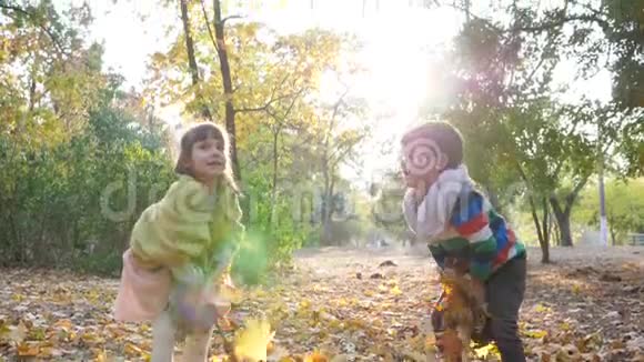 秋天的城市公园孩子们在阳光下跳跃在树和树叶的背景上扔树叶视频的预览图