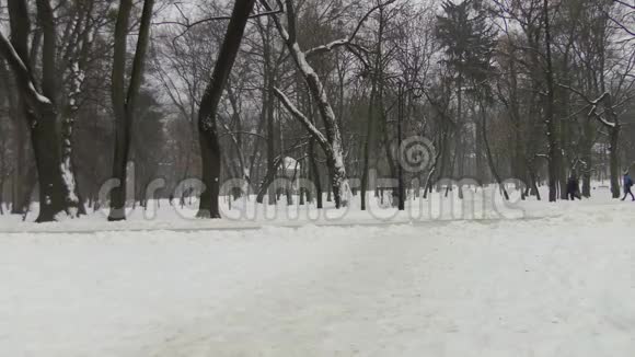 冬天公园里的人视频的预览图